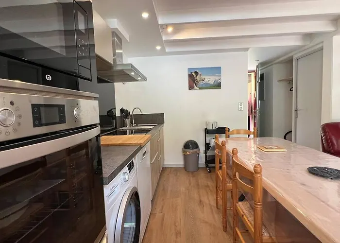 Le 101 3 Terrasse Parking Daire Cauterets